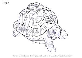 Learn How To Draw An Indian Star Tortoise Turtles And Tortoises Step By Step Drawing Tutorials Turtle Drawing Indian Star Tortoise Drawings