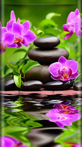 Wallpaper By Artist Unknown Zen Wallpaper Orchid Wallpaper Flower Background Wallpaper