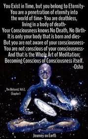 Susan Susantaylorhome - Profile Pinterest