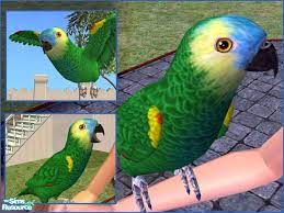 The playstation 2 version of the sims 2: Ladyminion S Blue Front Amazon Parrot