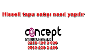 Öncelikle, tapu dairesinden randevu alınıyor. Hisseli Tapu Satisi Nasil Yapilir Tuzla Satilik Daire Ilanlari