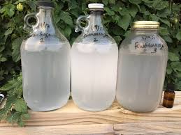 Why not learn how to make vetiver hydrosol at home since iit's not very readily available in the market. Hydrosol Vs Essential Oil Practical Aromatherapy In The Home Countryside