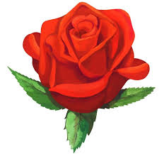 Disegno Di Una Rosa Rossa Tradizionale Con Tre Foglie Verde Idea Per Rose Tatuate Disegno Di Una Rosa Idee Tatuaggio Rosa Tatuaggi Rosa