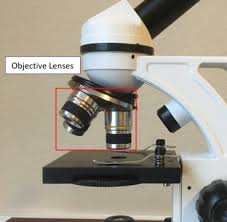 It is used to vary the light. 16 Parts Of A Compound Microscope Diagrams And Video Microscope Clarity
