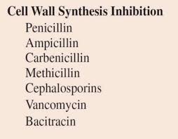 Image result for Extended Spectrum Penicillin