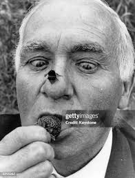 978 Hodkinson Stock Photos, High-Res Pictures, and Images