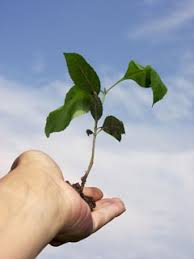 We see what a person does under hypnosis, but it isn't clear why he or. Free Hypnosis Downloads
