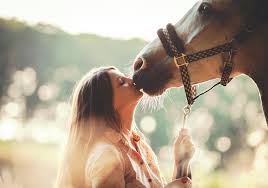 Before she started university, jane. Dating A Horse Girl The Survival Guide Horse Nation