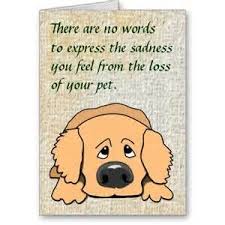 They are extremely valuable to their owners and the loss no truer word was said when they called dogs man's best friend. Pin On Support Ur Pet Extras