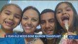 5-year-old Venice cancer patient searches for potentially lifesaving bone  marrow transplant donor