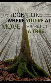 Oct 3, 2016·2 min read. Life Quotes On Twitter Life S Challenge Are Not Supposed To Paralyze You They Supposed To Help You Discover Who You Really Are Challenge Discovery Life Lesson Move Paralyze Motivation Tree Quote Word