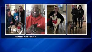 62+ greetings, messages and quotes. 23 Pets Rescued From Nashville After Deadly Tornadoes Available For Adoption At Paws Chicago Abc7 Chicago