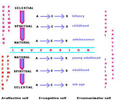 The Genes Of Consciousness In Spiritual Development Volume 9