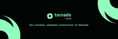 If you are in crypto for any decent amount of time, you know a lot about ethereum but some of the points that work to its advantage if you would have bet on the right coins last year you could easily have 100xed your capital… you could even have made as much as 1000x (hint: Tornado Cash