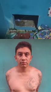 Alfredo Nieto Marroquín, alias Snake, construyó un escondite dentro de una  casa, en San Martín. Este pandillero pretendía pasar desapercibido y  escapar de la #GuerraContraPandillas. #ElSalvador ...