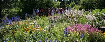 Maybe you would like to learn more about one of these? Okologisch Botanischer Garten