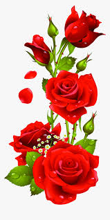 Your roses stock images are ready. Rose Flower Border Design Hd Png Download Kindpng