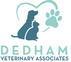 Mary battistella has over 30 years of experience in veterinary medicine. Welcome To Dedham Veterinary Associates Dedham Ma 02026 Vet