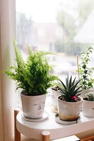 It's not a necessary step, but the clearance lets the shelf sit tight against the window. Green Plants In Face Pots Made Of Out Ceramic Sit On A White Shelf In Front Of A Window By Simone Anne
