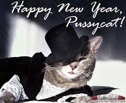 Happy New Year Pussycat Funny Animal Pictures Funny Cats Cat Memes