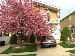 Florist inc, your local staten island florist, delivers fresh flowers throughout the staten island, ny area eltingville florist inc offers same day flower delivery on all arrangements to staten. 21 Echo Pl Staten Island Ny 10314 Trulia