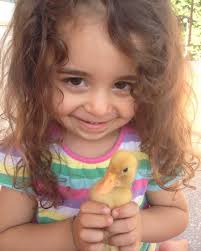 📌 ¡Buen día! ¡Inicia #LaLupaPy, último programa de este 2025! 📺👏 ¡Luis  Bareiro, Clara Acevedo y Fito Cabral ya están listos para informarte en  este último domingo del año, con mucha buena