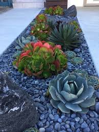Front Yard In The Richmond After Succulent Landscaping Front Yard Succulent Garden Design Succulent Landscape Design