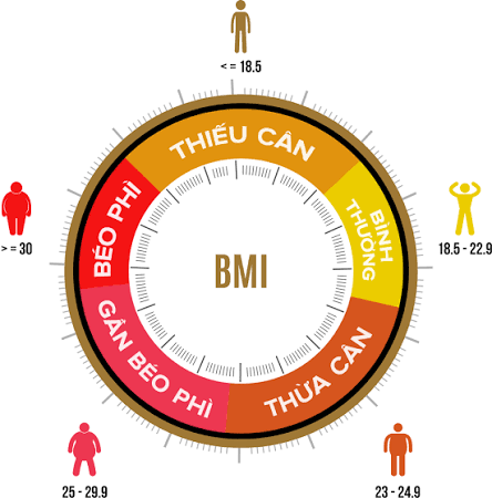 Cách đo và tính chỉ số khối cơ thể BMI chính xác và chuẩn nhất