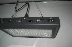 The g8led 600 watt mega led veg/flower grow light will replace a 1000 watt mh/hps system. G8led 900 Watt G8 900 Mega Led Grow Light 2021 Review