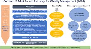 Image result for Obesity Management