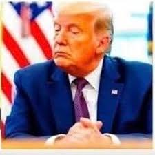 Dr Nathan Emery (@feathered_ape)