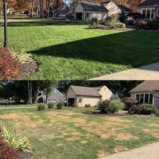 The joy a dog can bring to your family is priceless, but the reality is that owning a dog comes with ongoing costs. Sunday Lawn Care Review Must Read This Before Buying