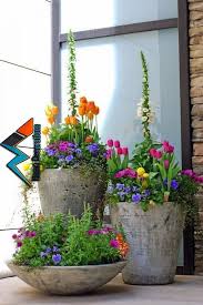 Fruhlingsblumen Im Haus Oder Im Garten Bringen Mehr Lebensfreude Haben Sie Blumenzwiebeln Verschiedener Fruhling Urban Garden Design Plants Garden Containers