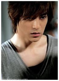 Vic Zhou [F4],Mars, Meteor Garden, General