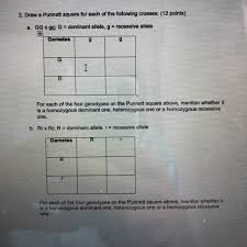 If each mating pair has one offspring, predict how many of the first generation offspring will have the following genotypes. Which Of The Following Genotypes Is Homozygous Recessive 2 Points