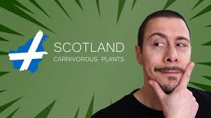 New Nepenthes from Scotland Unboxing Video