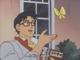 It will be published if it complies with the content rules and our moderators approve it. Is This A Meme The Confused Anime Guy And His Butterfly Explained Vox