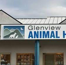 We did not find results for: Glenview Animal Hospital 103 3145 Jacklin Road Victoria Reviews And Appointments Topvet