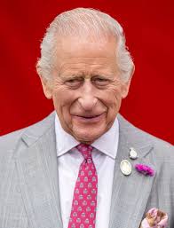 Prince Harry to share diary as he tries to "deconflict" with the Royal  Family