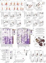 Natural Killer Cell Immunotypes Related To Covid 19 Disease Severity Science Immunology