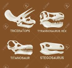 Dinosaurs Silhouettes Head Set Vector Flat Set Illustration Royalty Free Cliparts Vectors And Stock Illustration Image 57784022 Dinosaurs have a unique body structure that make them perfect for silhouette designs. dinosaurs silhouettes head set vector flat set illustration
