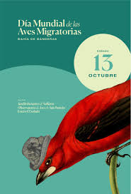 World Migratory Bird Day Poster Series Migratory Birds Visual Identity Visual