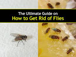 Under the bark of dead and dying trees; 6 Clever Ways To Get Rid Of Flies