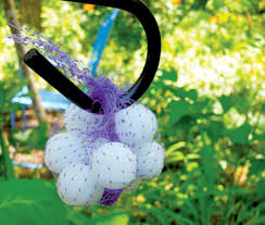 Maybe you would like to learn more about one of these? Gardening Charlotte El Dorado Springs Sun