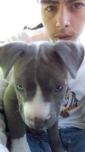 First of all, I would like to thank all the prayer warriors that answered  my cries three weeks ago. I'm beyond grateful to say that God put the right  people in my