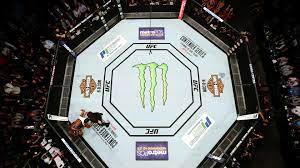 Bei diesem duell bedarf es keiner besonderen motivation. Ufc Wann Findet Der Nachste Kampf Statt Goal Com
