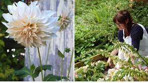 Floral designer and british flower ambassador jonathan moseley shows you how to make your cut flowers last longer. How To Start A Cutting Garden From Britain With Love