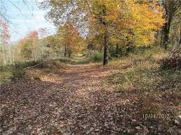 100 Lynwood Dr, Evans City, PA 16033