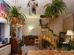 Dann sind sie hier genau richtig! 2 5 Zimmer Wohnung Mietwohnung In Kopenick Berlin Ebay Kleinanzeigen
