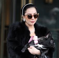 She is known for reinventing herself throughout her career and for her versatility in numerous areas of the. Gportip4mhmxvm